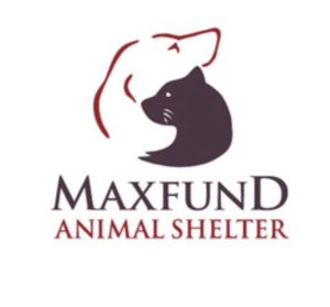 maxfund adoption center